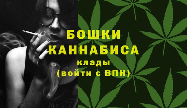 дживик Балахна